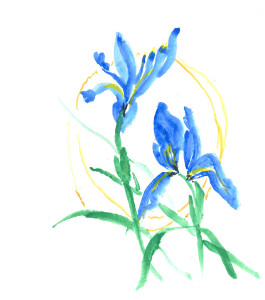 Blue Irises by Jean A.