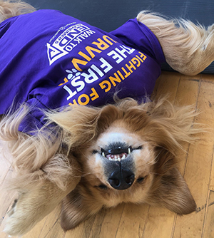 Brixton in his Walk to End Alzheimer's Shirt